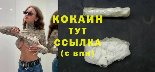 сатива Инсар