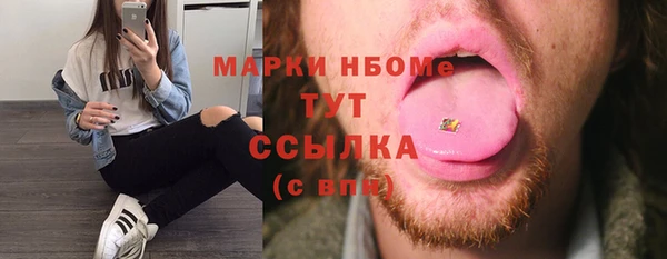 сатива Инсар