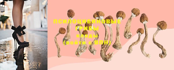 ГАЛЛЮЦИНОГЕННЫЕ ГРИБЫ Зерноград