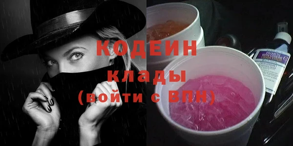 сатива Инсар