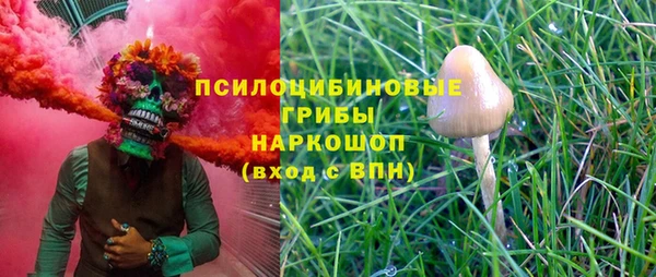 марки lsd Инта