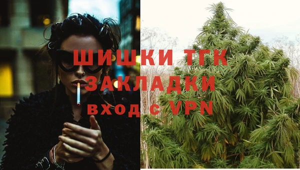 тгк Болотное