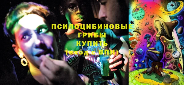 сатива Инсар