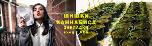 сатива Инсар