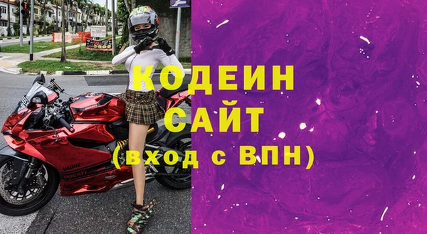 сатива Инсар