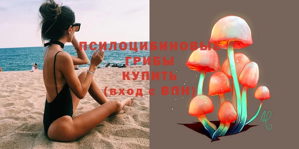 сатива Инсар